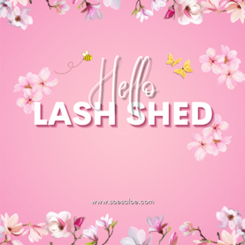Alles over de Lash Shed
