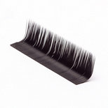 Bis L Curl 0.07