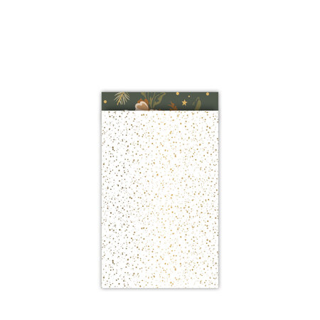 Cadeauzakje wit/goud -Twinkling Stars  