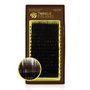 Neicha Lashes Brown 